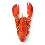 Whole Cornish Lobster